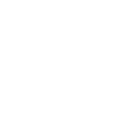 self-publishing